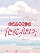 好孕兔女离开后,他跪求回头在线阅读