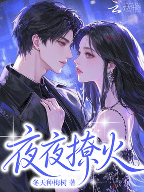 夜夜撩火在线阅读