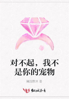 對不起，我不是你的寵物在線閱讀