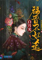 白月光福晉不好追在線閱讀