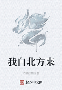 我自北方來