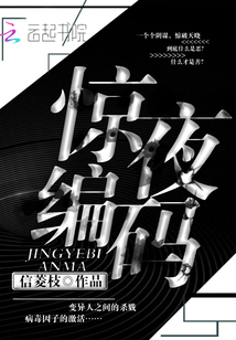 驚夜編碼
