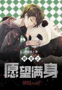 精灵之愿望满身
