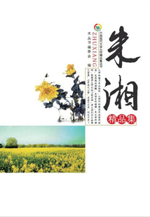 朱湘精品集