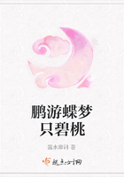 鵬游蝶夢只碧桃在線閱讀