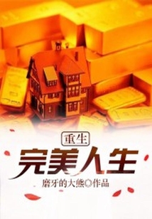 重生完美人生