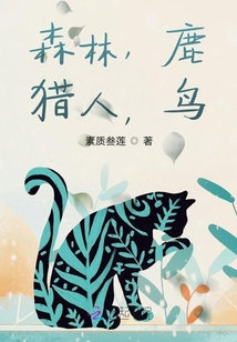 森林，鹿，獵人，鳥