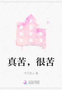 真苦，很苦