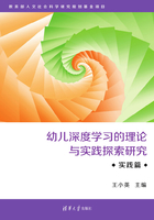 幼儿深度学习的理论与实践探索研究·实践篇在线阅读