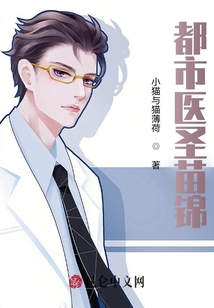 都市醫圣苗錦