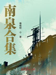 南泉合集