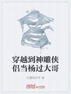 穿越到神雕侠侣当杨过大哥在线阅读