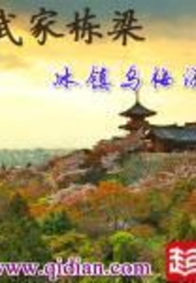 武家栋梁在线阅读