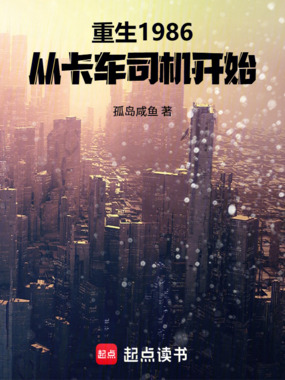重生1986:从卡车司机开始在线阅读