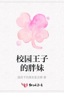 校園王子的胖妹