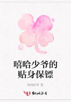 嘻哈少爺?shù)馁N身保鏢在線(xiàn)閱讀