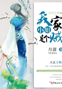 我家小姐是個(gè)賊