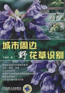 城市周邊野花草識別