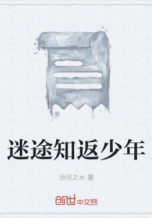 迷途知返少年