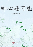 卿心瑶可见在线阅读