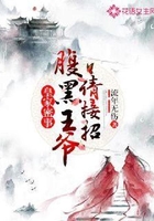 皇家密事:腹黑王爷请接招