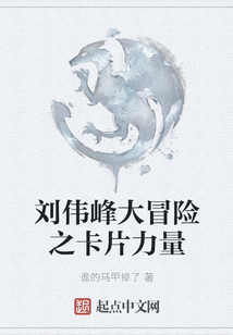 劉偉峰大冒險之卡片力量