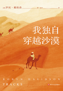 我独自穿越沙漠
