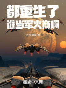 都重生了誰(shuí)當(dāng)軍火商啊