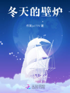 冬天的壁炉在线阅读