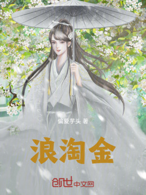 浪淘金在线阅读