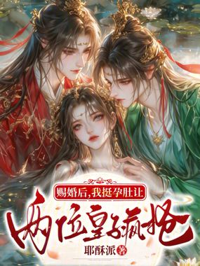 赐婚后，我挺孕肚让两位皇子疯抢在线阅读