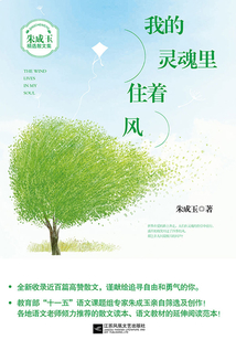 我的靈魂里住著風