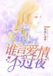 谁言爱情不过夜