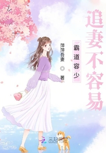 霸道容少追妻不容易