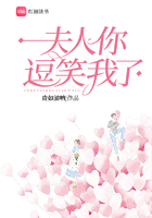 夫人你逗笑我了在線閱讀