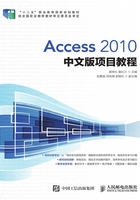 Access 2010中文版项目教程在线阅读