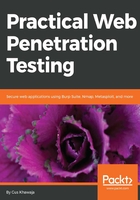 Practical Web Penetration Testing在线阅读