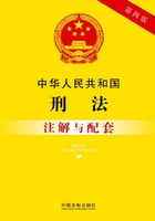 中华人民共和国刑法注解与配套（2017年版）在线阅读