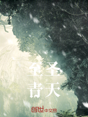 至圣青天在线阅读