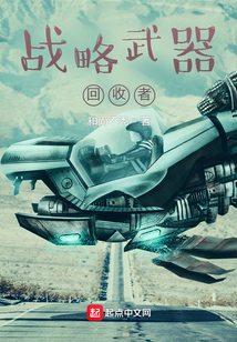 战略武器回收者