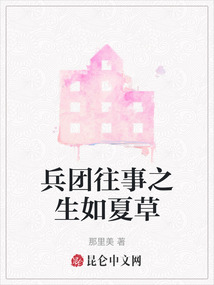 兵团往事之生如夏草