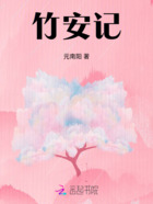 竹安记在线阅读