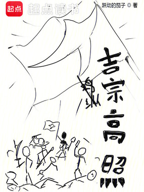 吉宗高照在线阅读