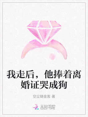 我走后,他捧着离婚证哭成狗在线阅读