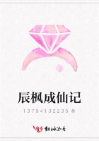 辰楓成仙記在線閱讀