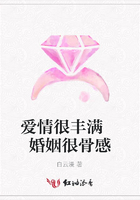 愛情很豐滿 婚姻很骨感在線閱讀