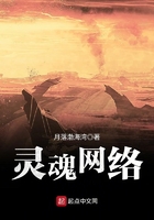 靈魂網(wǎng)絡(luò)在線閱讀