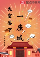 天空落下一座城在線閱讀