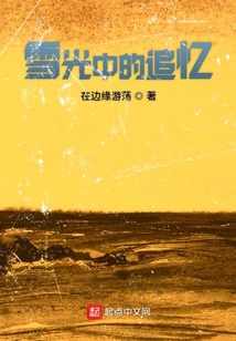 雪光中的追憶