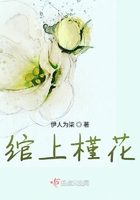 綰上槿花在線閱讀